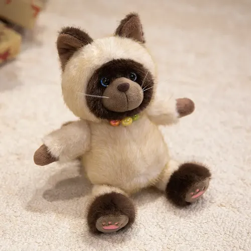 Siamese Cat